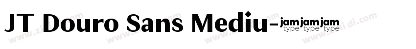 JT Douro Sans Mediu字体转换